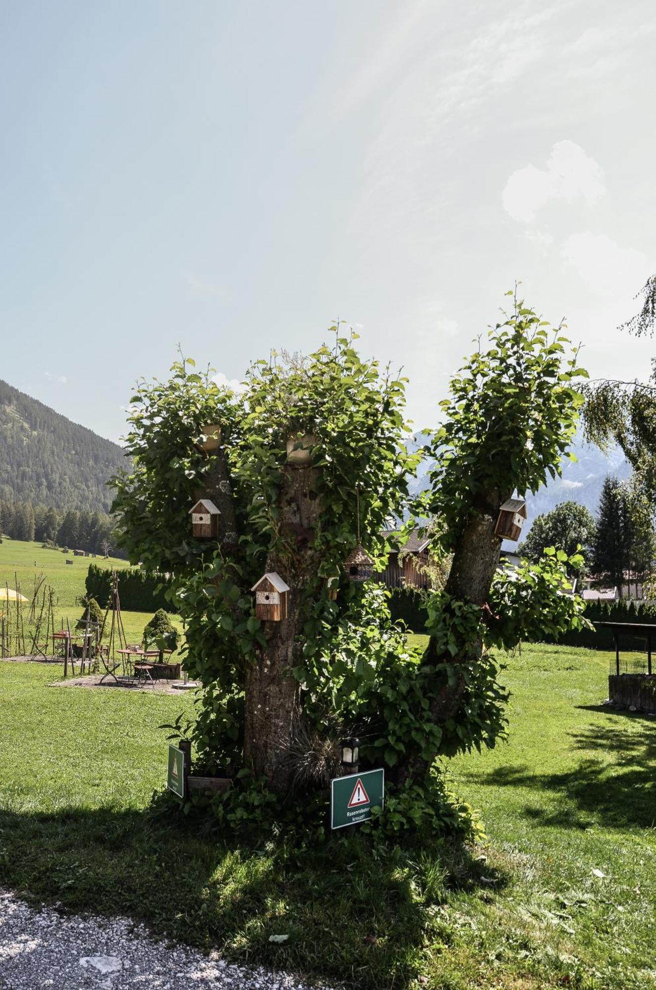 Hotel Ehrwalderhof Eksteriør billede
